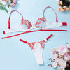 Milan 2 Piece Transparent Embroidery Lingerie Set